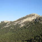 IMG_2443