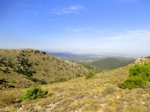 IMG_3308
