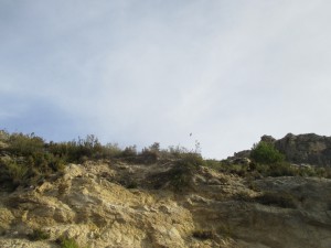 IMG_5814