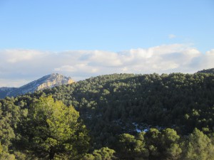 IMG_6107