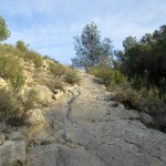 IMG_6256