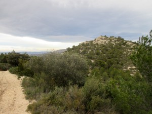 IMG_6287