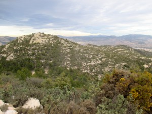 IMG_6292
