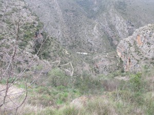 IMG_6594