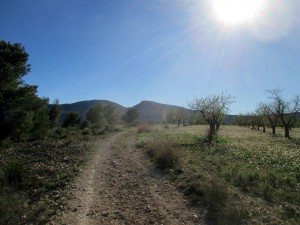 IMG_6643