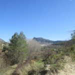 IMG_6748
