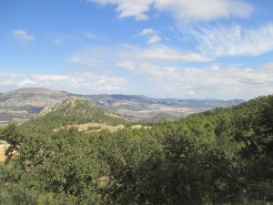 IMG_6813