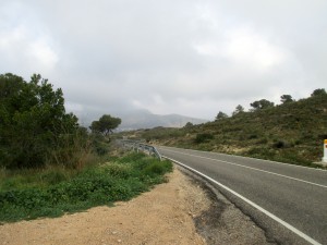 IMG_6884