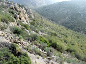 IMG_6904