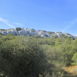 IMG_7205