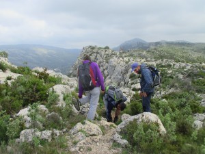 IMG_7314