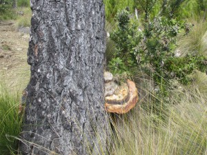 IMG_7503 - copia