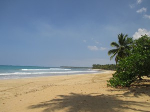 IMG_7768 - copia
