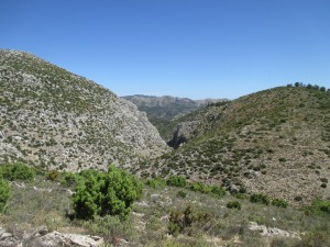 IMG_8269