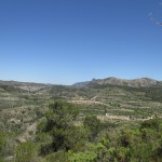 IMG_8290