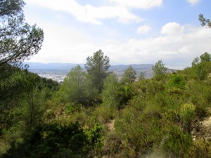 IMG_8382