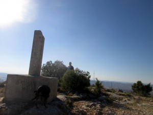 IMG_8654