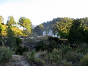 IMG_8707