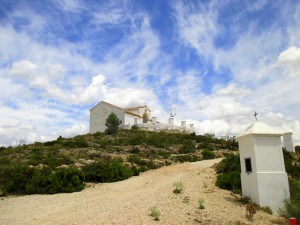 IMG_8859