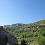 IMG_8903 - copia