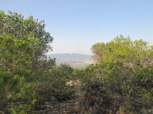 IMG_9048