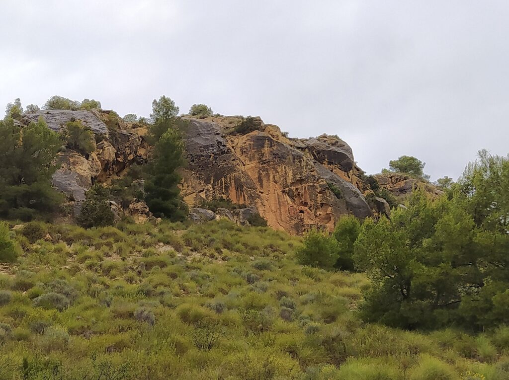 Cómo evitar una terraza exterior resbaladiza - Productos forestales de las  Montañas Rocosas