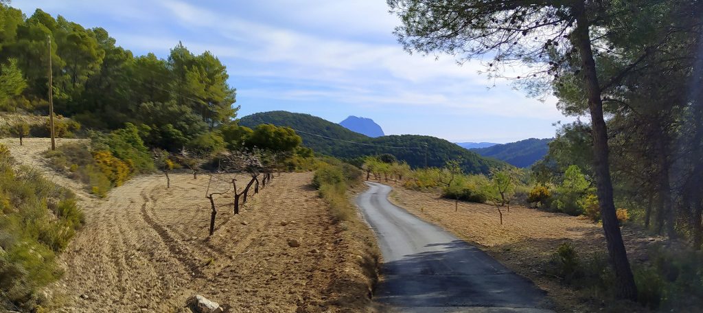 Cómo evitar una terraza exterior resbaladiza - Productos forestales de las  Montañas Rocosas